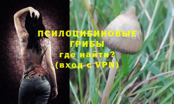 мдпв Белокуриха