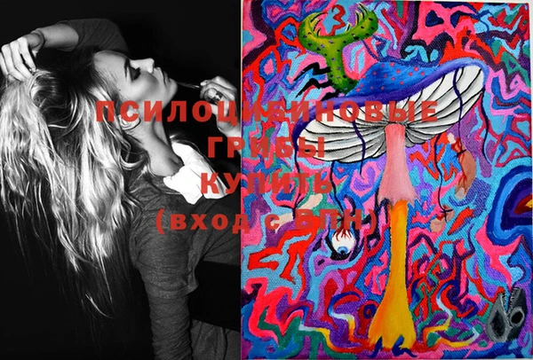 молекула духа Беломорск